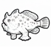 Frogfish