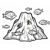 Seamounts